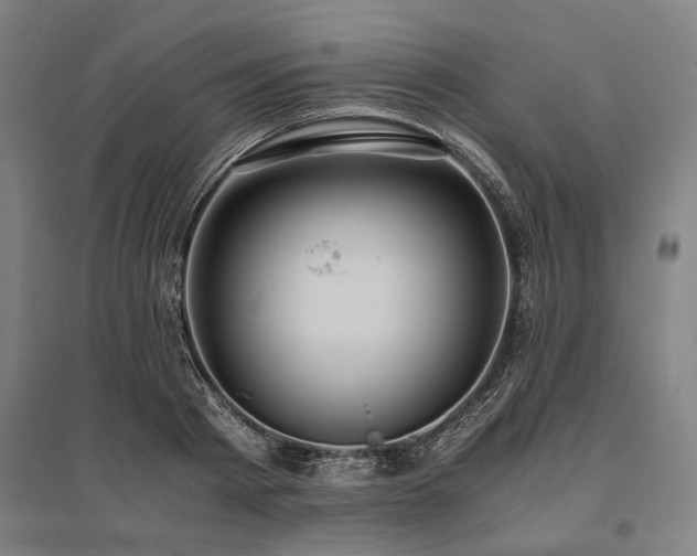 X0000096160793200801181223