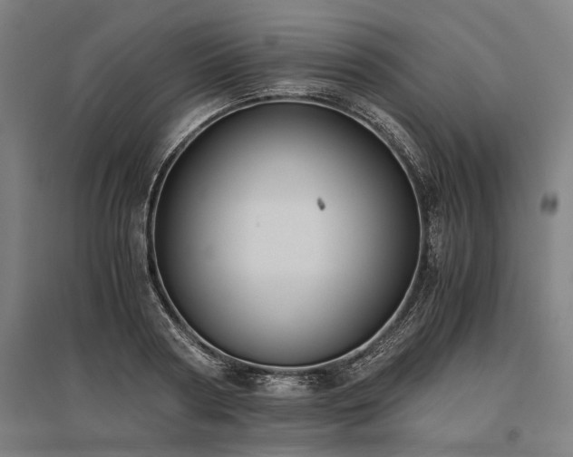 X0000096160794200801181223