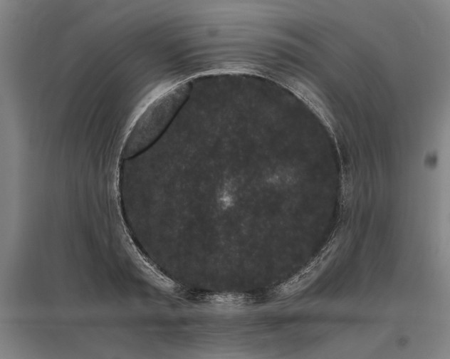 X0000096160797200801181223