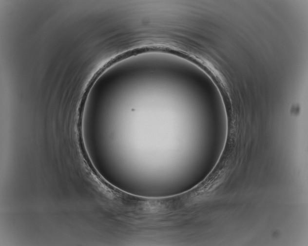 X0000096160799200801181223