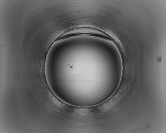 X0000096160801200801181223