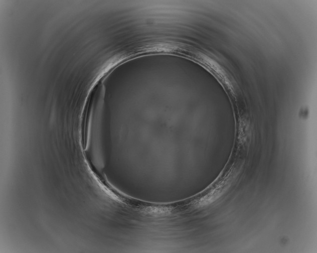 X0000096160802200801181223