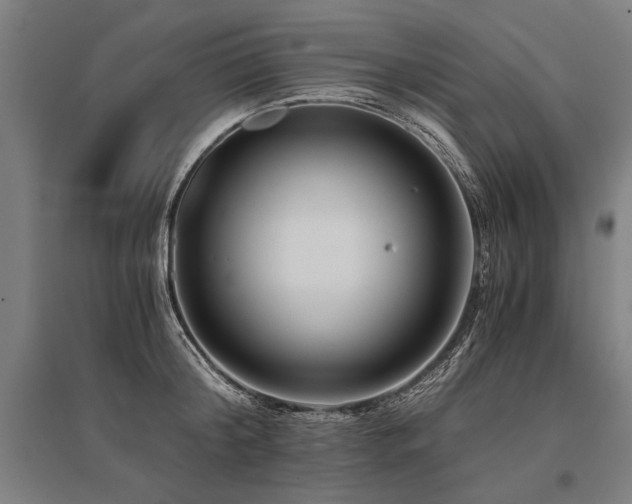 X0000096160804200801181223
