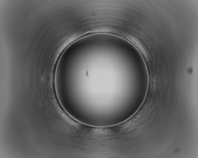 X0000096160805200801181223