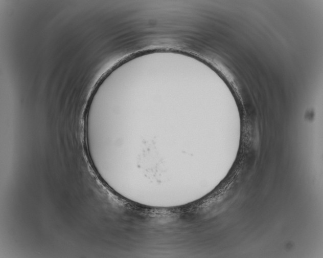 X0000096160807200801181223