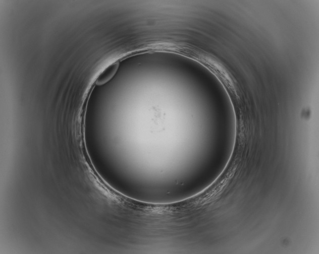 X0000096160808200801181223