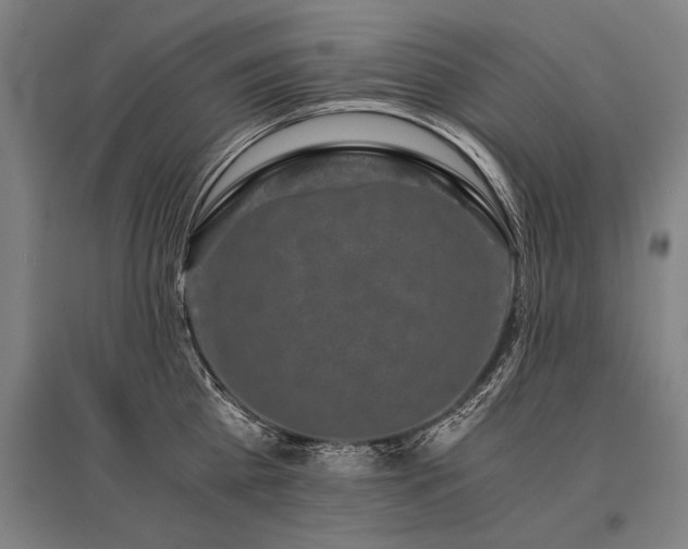 X0000096160809200801181223