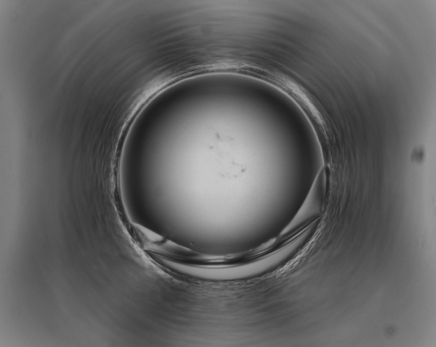 X0000096160810200801181223