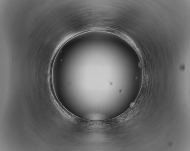 X0000096160811200801181223