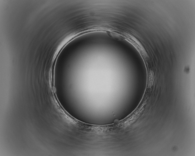 X0000096160812200801181223