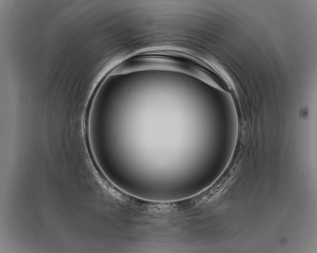 X0000096160813200801181223