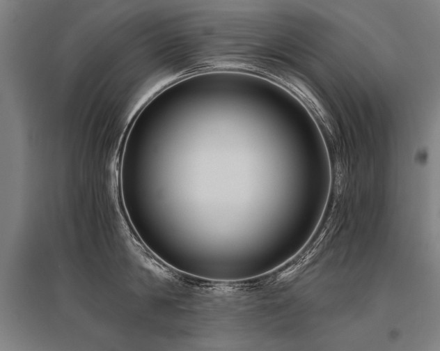 X0000096160814200801181223