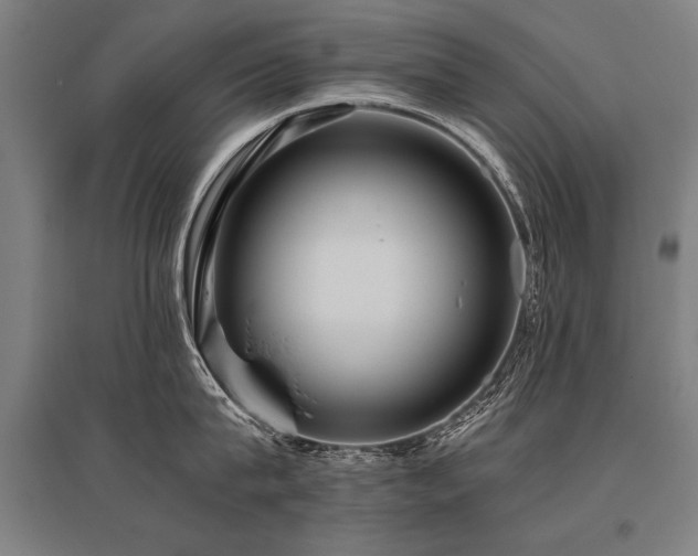 X0000096160815200801181223