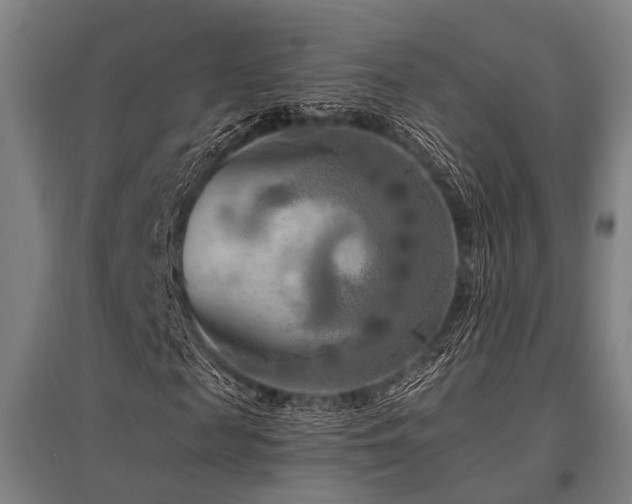 X0000096160817200801181222