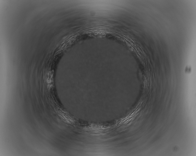 X0000096160818200801181223