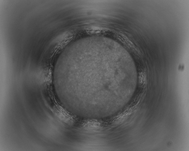 X0000096160820200801181223