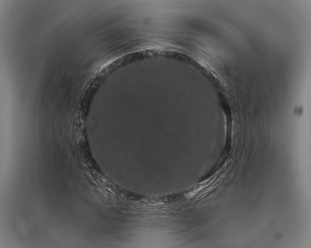 X0000096160822200801181223