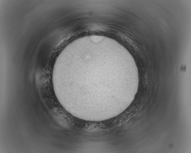 X0000096160824200801181223