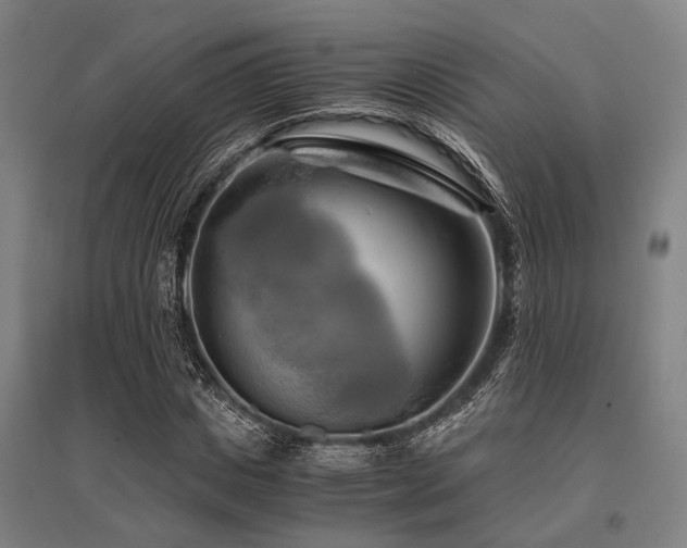X0000096160825200801181223