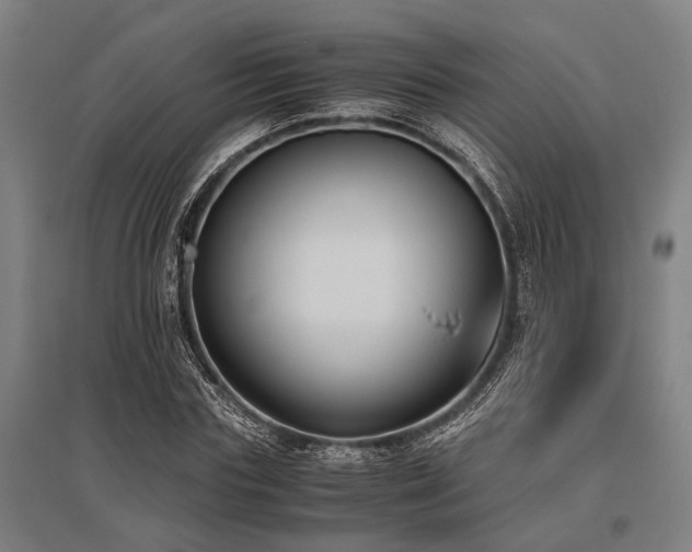 X0000096160827200801181223