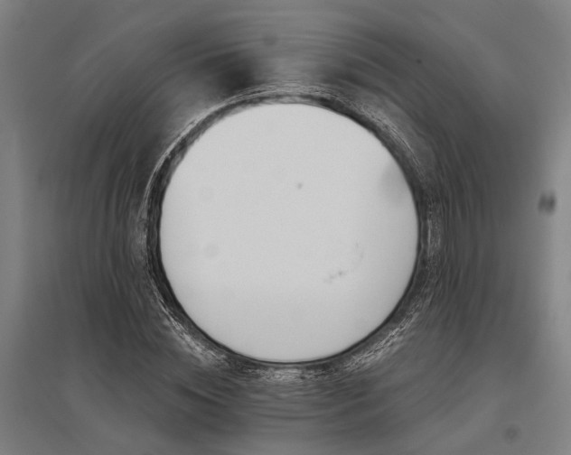 X0000096160828200801181223