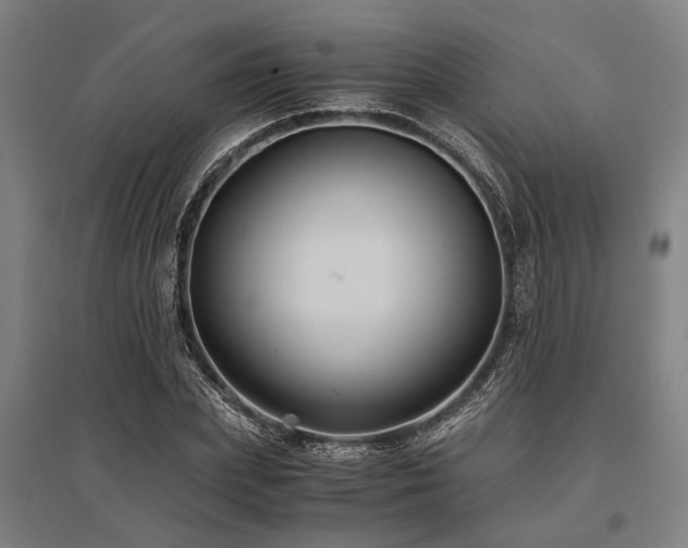 X0000096160831200801181223