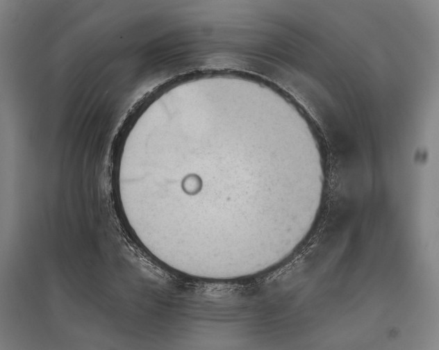 X0000096160832200801181223