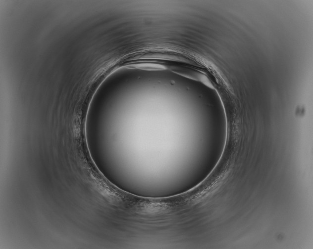 X0000096160833200801181223