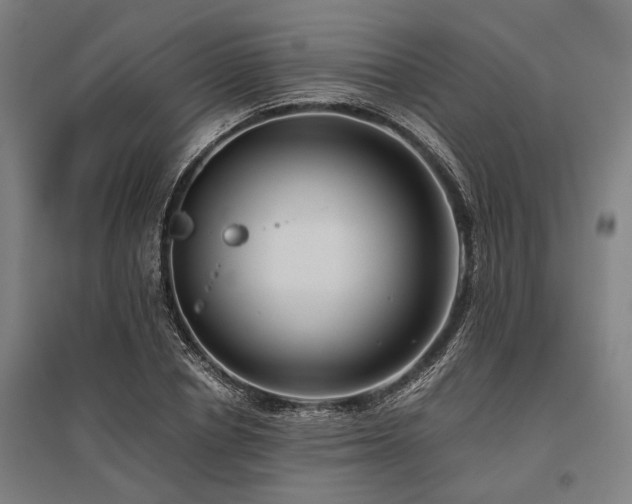 X0000096160834200801181223