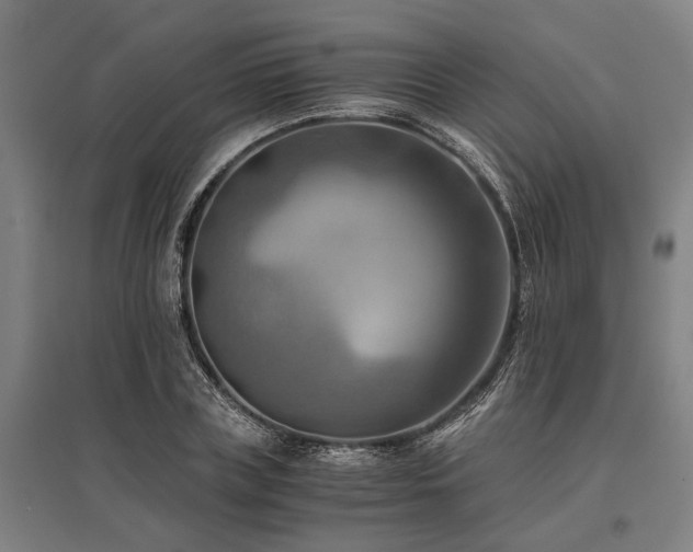 X0000096160835200801181223