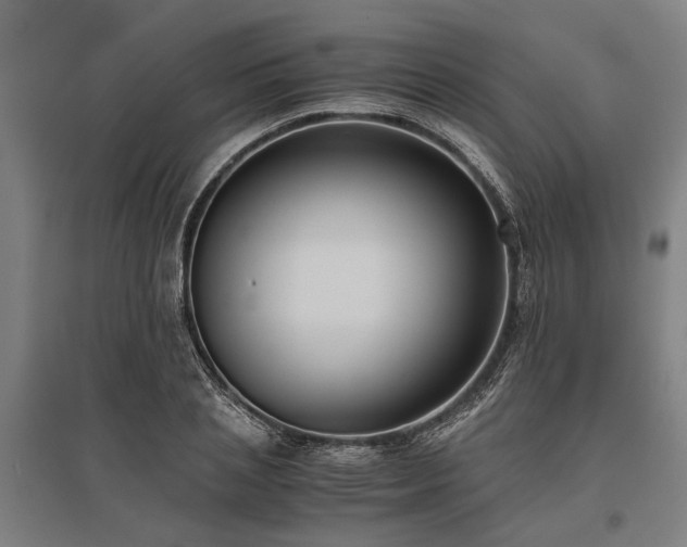 X0000096160837200801181223