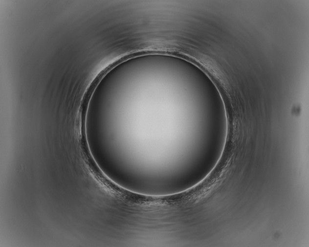 X0000096160838200801181223