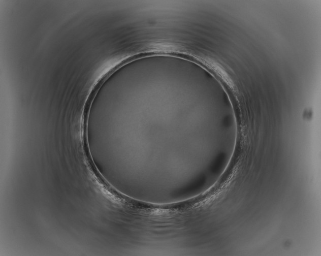 X0000096160839200801181223