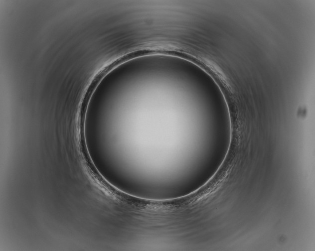 X0000096160840200801181223