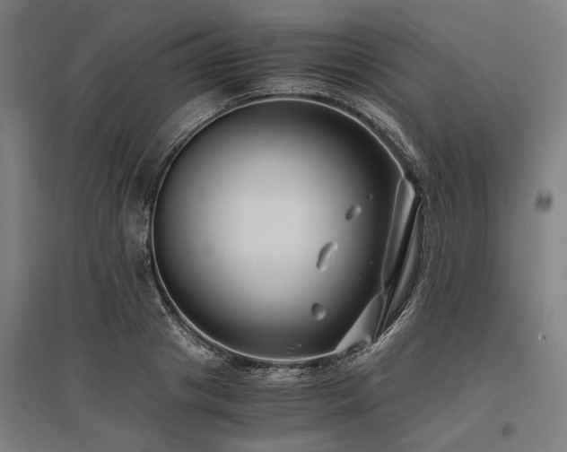 X0000096160841200801181223