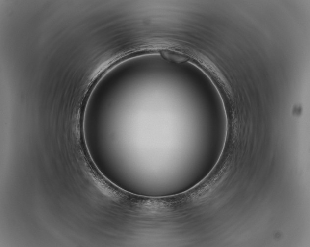 X0000096160842200801181223