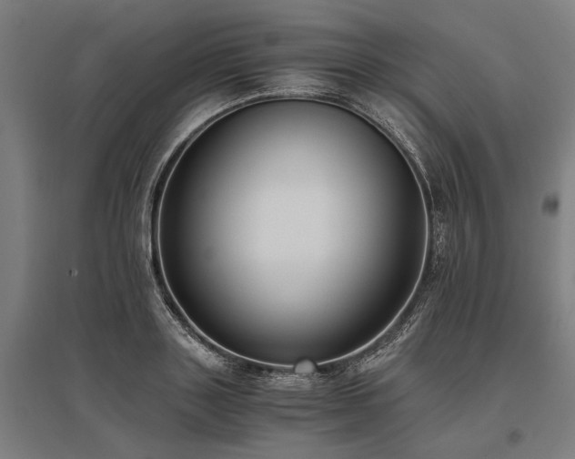 X0000096160843200801181223