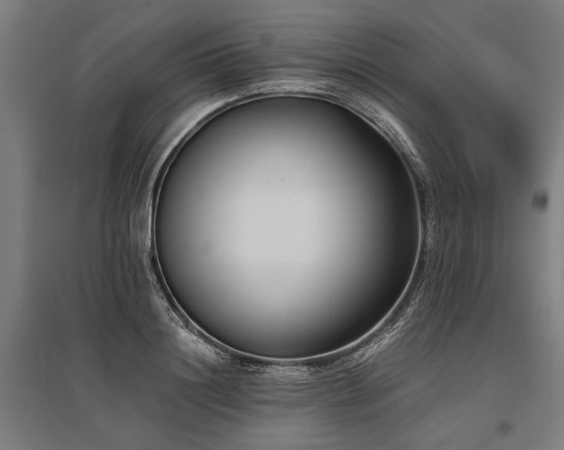 X0000096160844200801181223