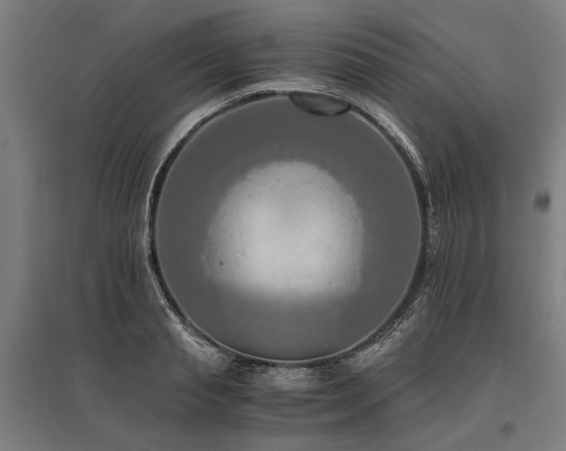 X0000096160845200801181223