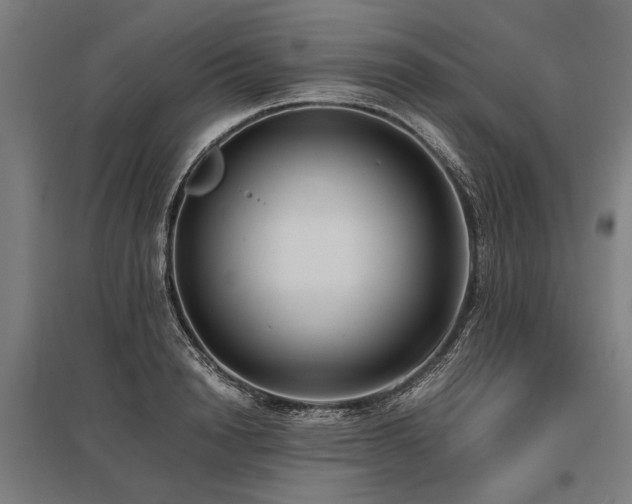 X0000096160846200801181223