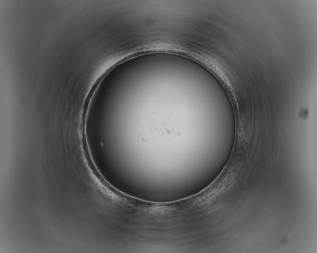 X0000096160847200801181223