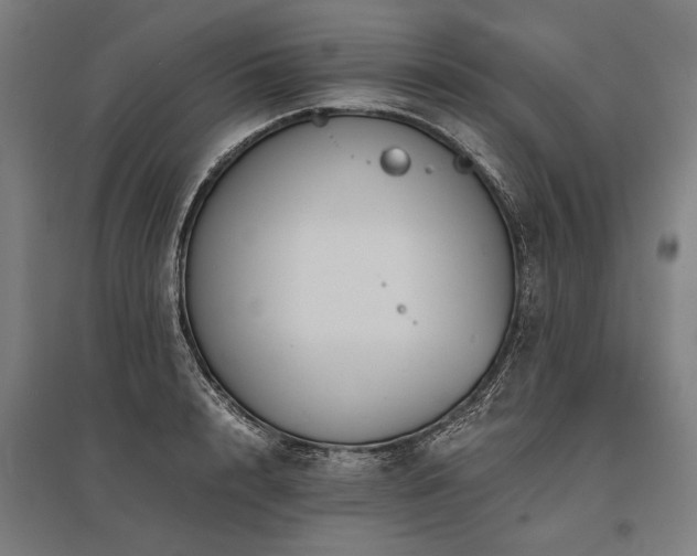 X0000096160848200801181223