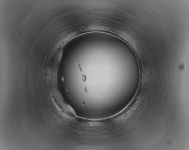 X0000096160849200801181223