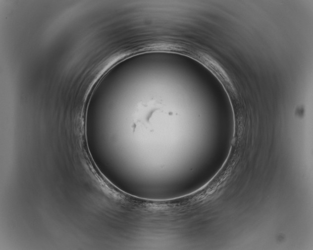 X0000096160852200801181223
