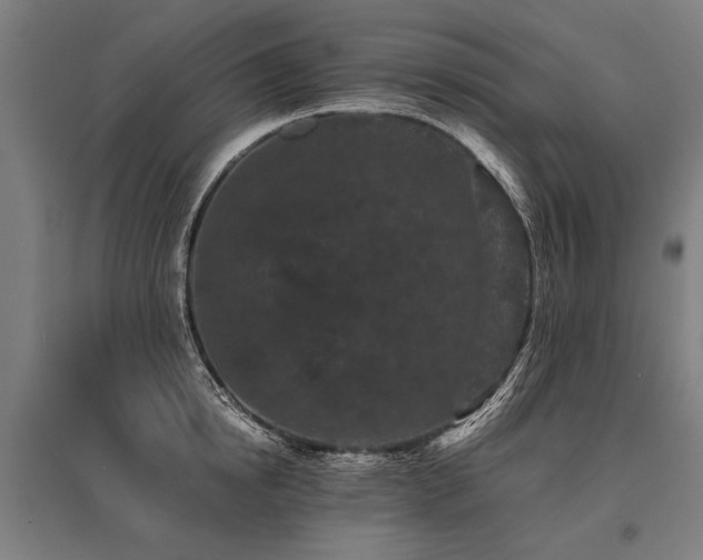 X0000096160854200801181223