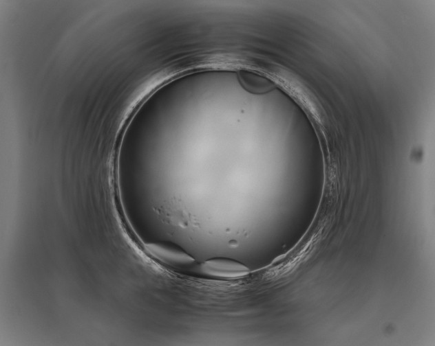 X0000096160855200801181223