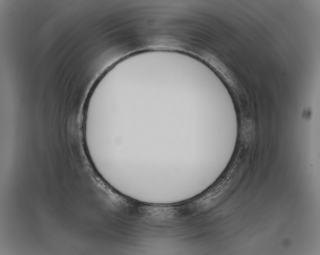 X0000096160856200801181223