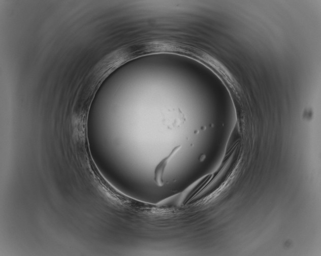 X0000096160857200801181223