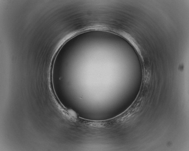 X0000096160861200801181223