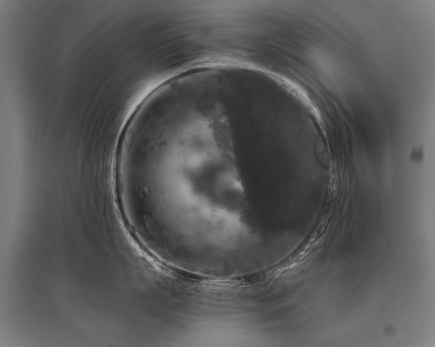 X0000096160863200801181223